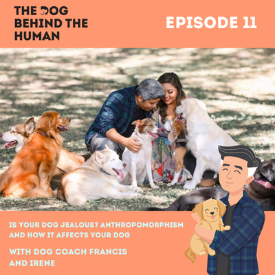 Ep. 11: Is Your Dog Jealous? Anthropomorphism and How It Affects Your Dog