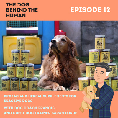 Ep. 12: Prozac and Herbal Supplements For Reactive Dogs With Guest Dog Trainer Sarah Forde
