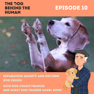 Ep. 10: Separation Anxiety and Solving Dog Issues with Guest Dog Trainer Angel Rowe