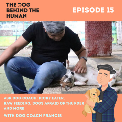 Ep. 15: Ask Dog Coach: Picky Eater, Raw Feeding, Dogs Afraid of Thunder and More.