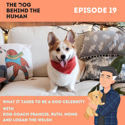 Ep. 19: What It Takes To Be A Dog Celebrity