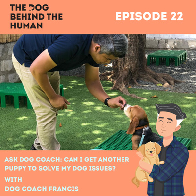 Ep. 22: Ask Dog Coach: Can I Get Another Puppy To Solve My Dog Issues?