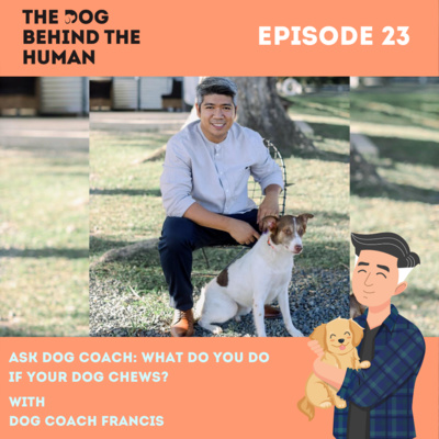 Ep. 23: Ask Dog Coach: What Do You Do If Your Dog Chews?