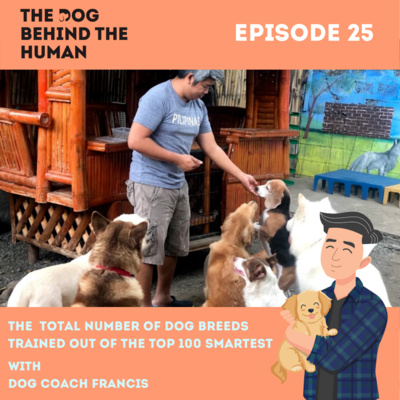 Ep. 25: The Total Number of Dog Breeds Trained Out of The Top 100 Smartest