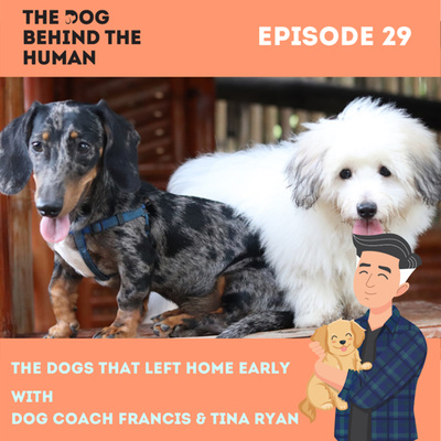 Ep. 29: The Dogs That Left Home Early