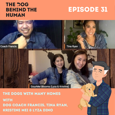 Ep. 31: The Dog With Many Homes