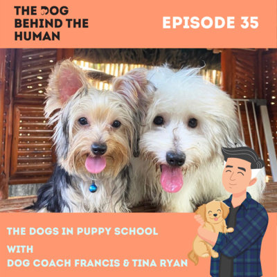 Ep. 35: The Dog in Puppy School