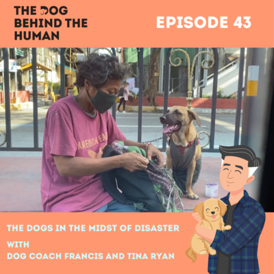 Ep. 43: The Dogs in the Midst of Disaster