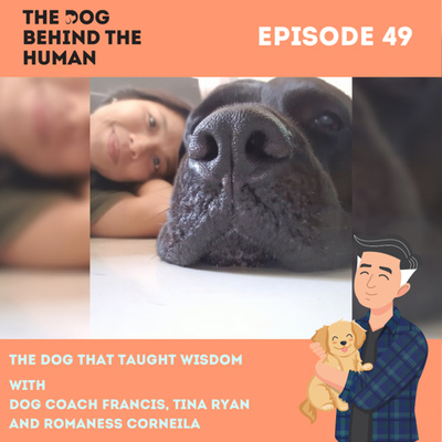 Ep. 49: The Dog That Taught Wisdom