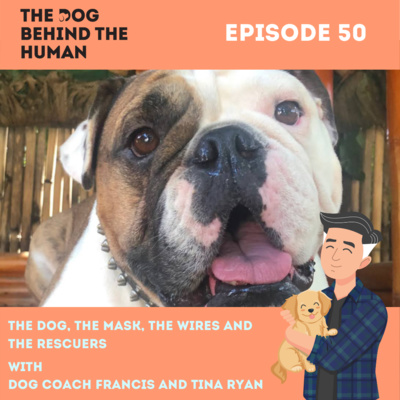 Ep. 50: The Dog, The Mask, The Wires and the Rescuers