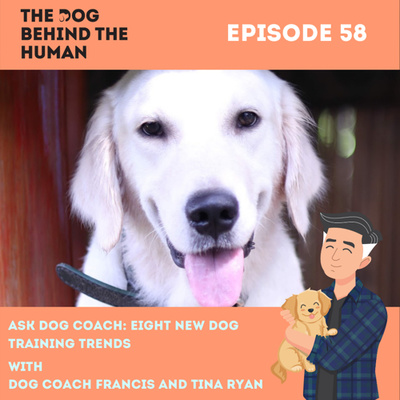 Ep. 58: Ask Dog Coach: Eight New Dog Training Trends
