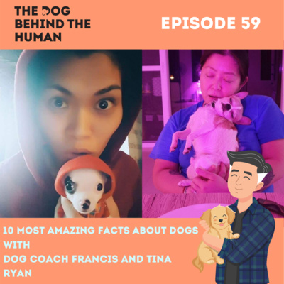 Ep. 59: 10 MOST AMAZING FACTS ABOUT DOGS