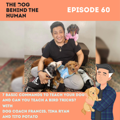 Ep. 60: 7 Basic Commands To Teach your Dog and Can You Teach A Bird Tricks?