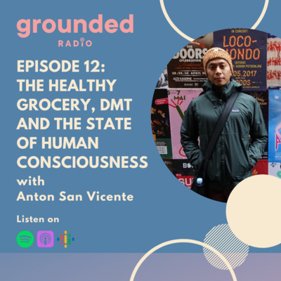 The Healthy Grocery, DMT and the State of Human Consciousness