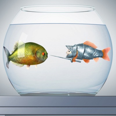 Episode 3: Discerning