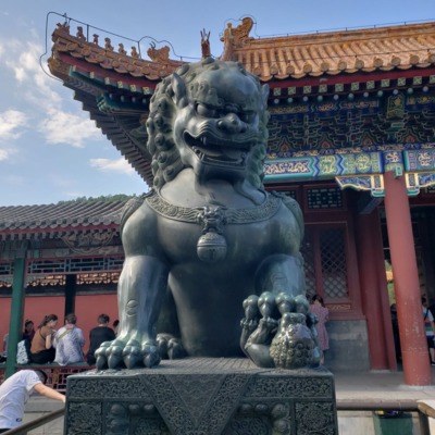 I Survived China, Sort of...