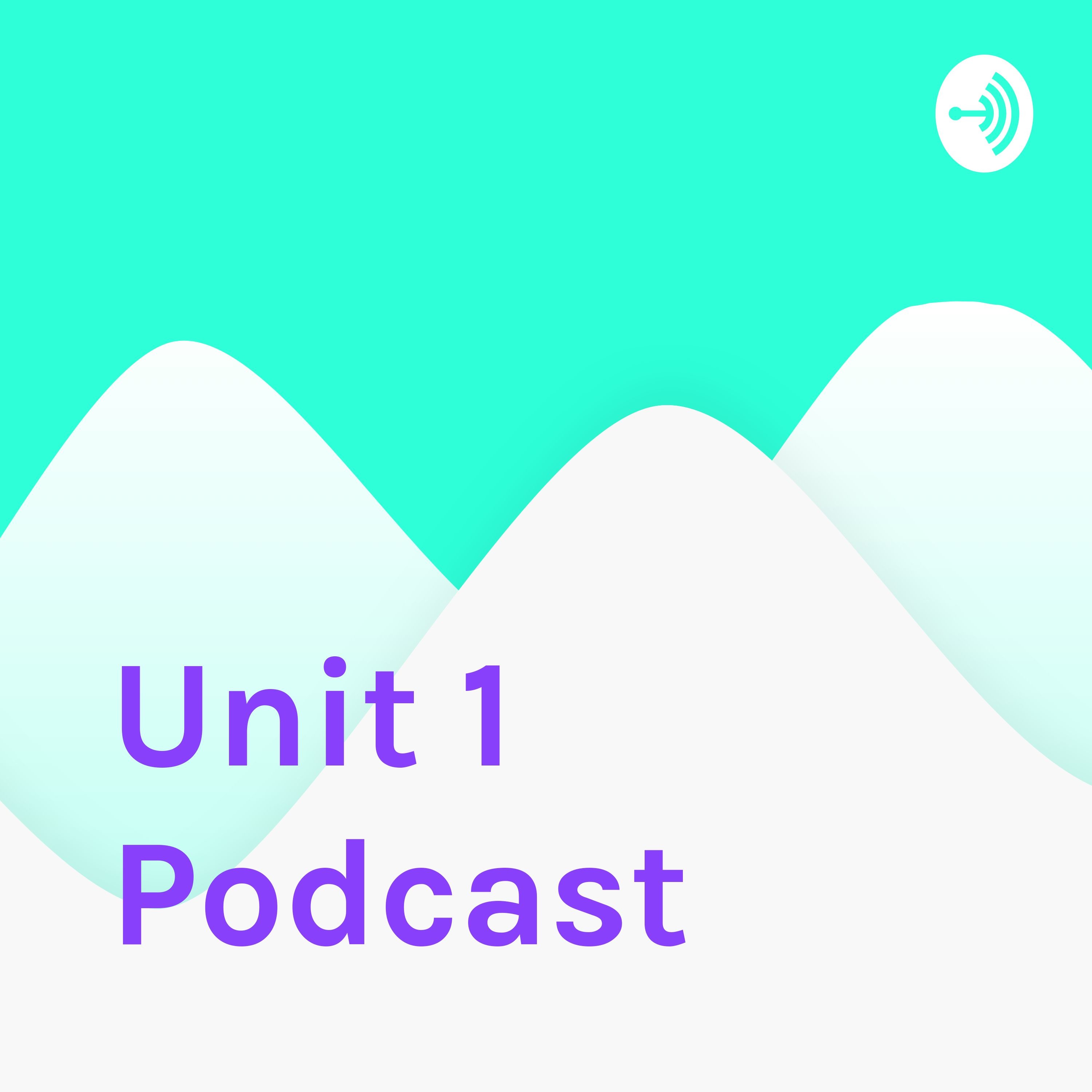 Unit 4 Podcast