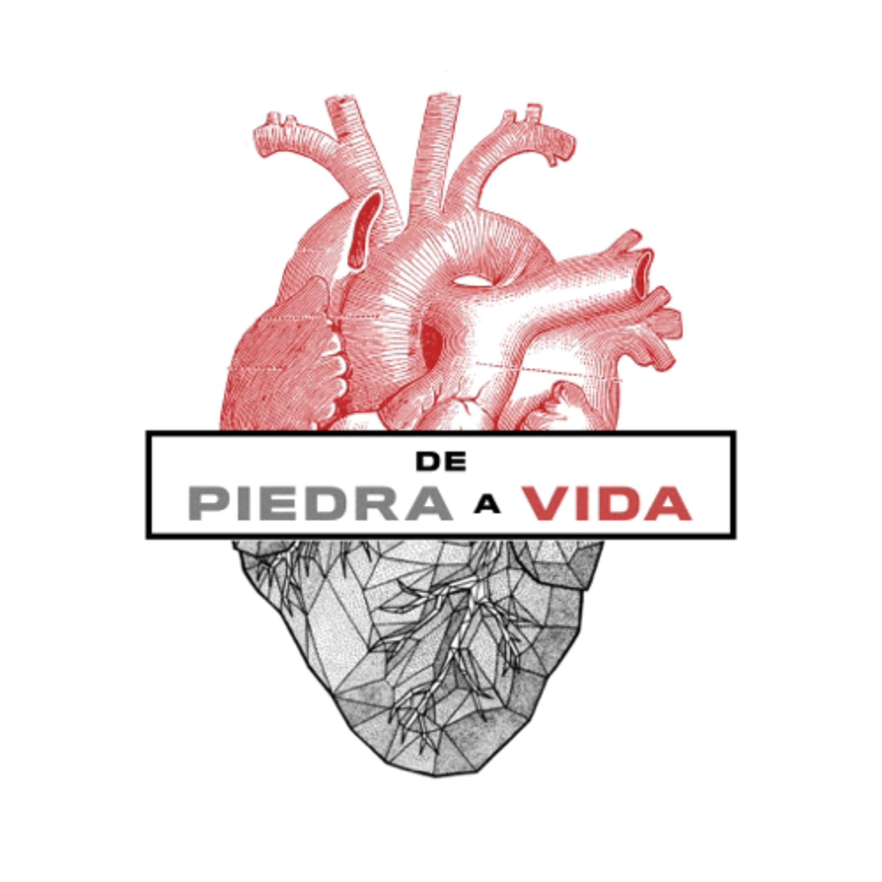 De Piedra A Vida