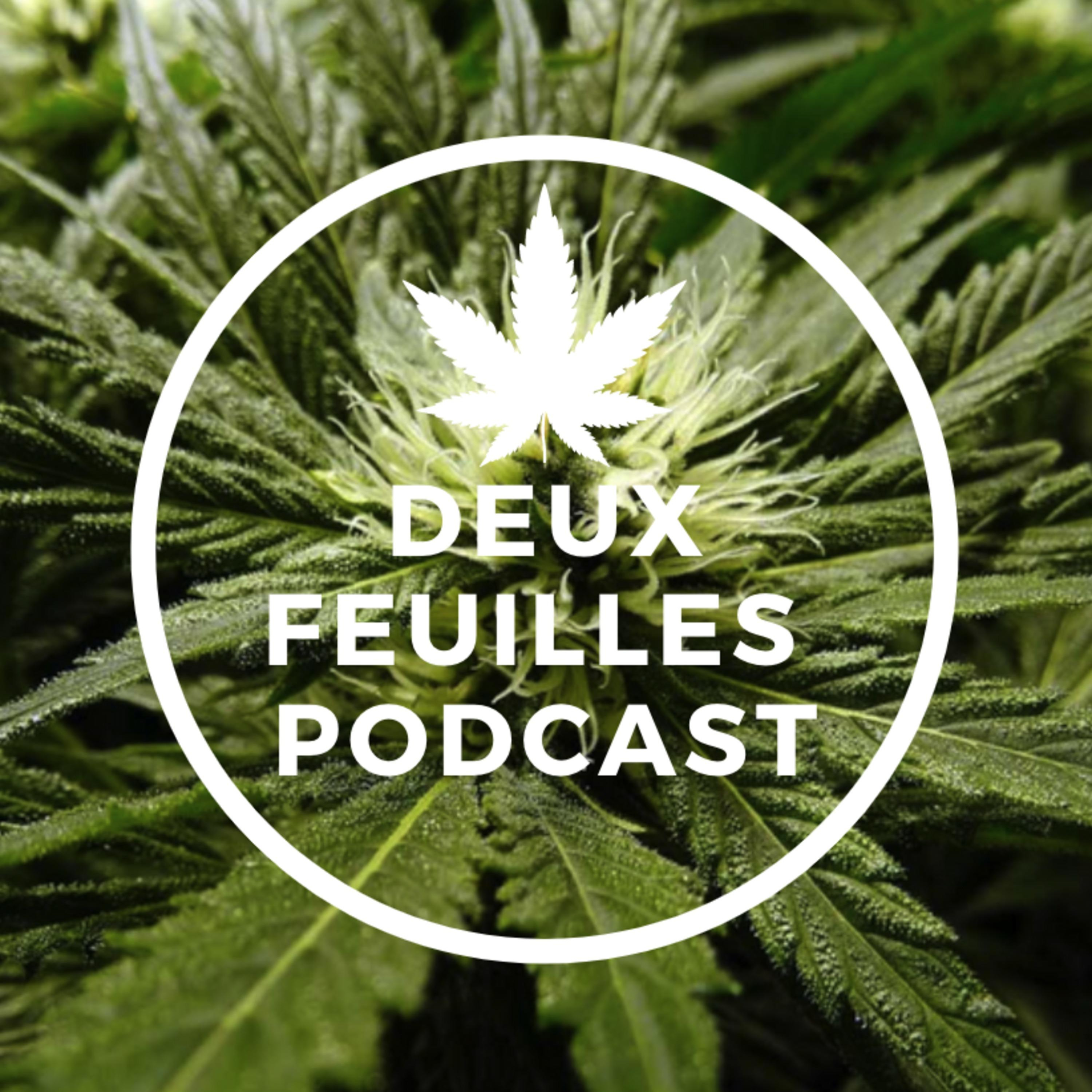Deux-feuilles