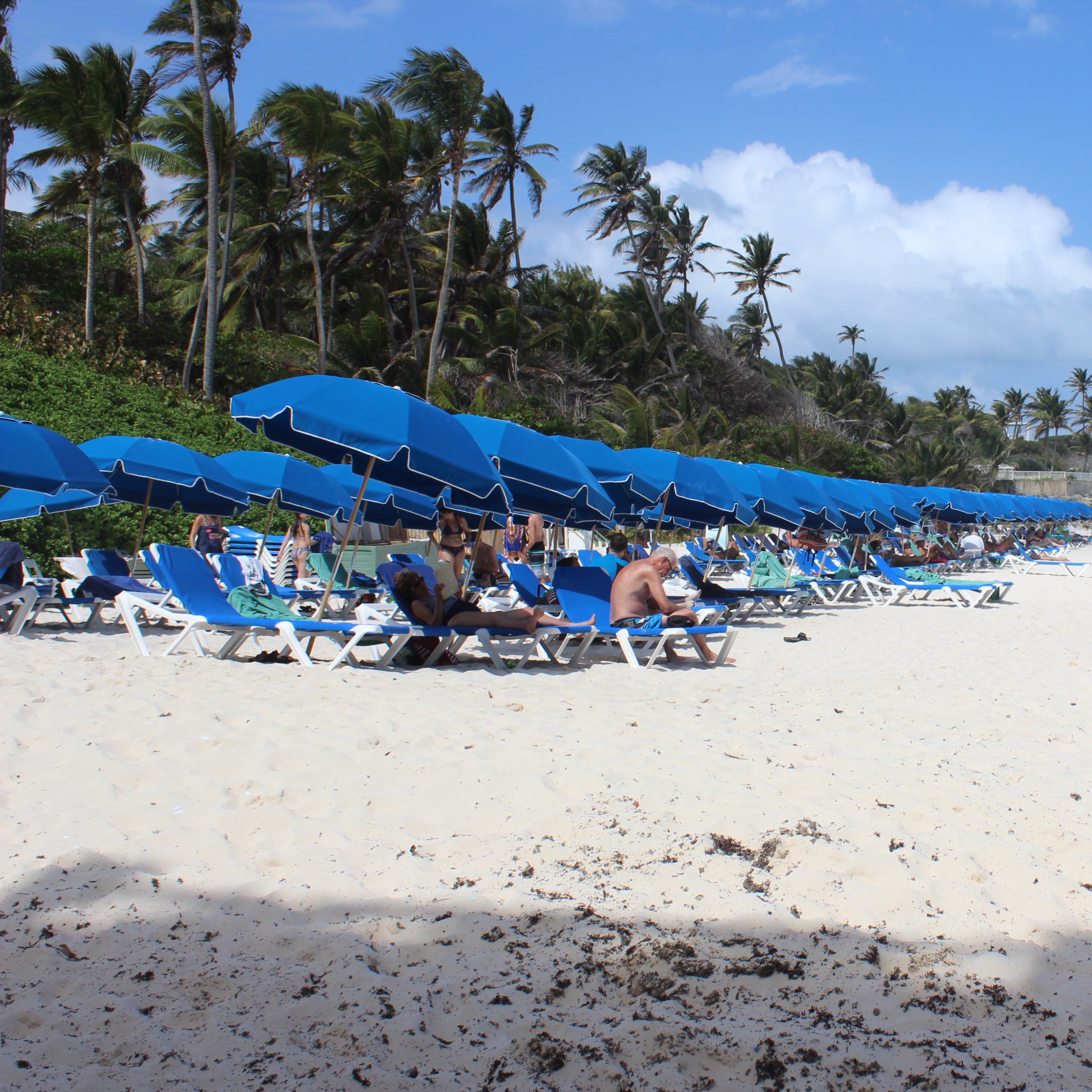 The Barbados experience