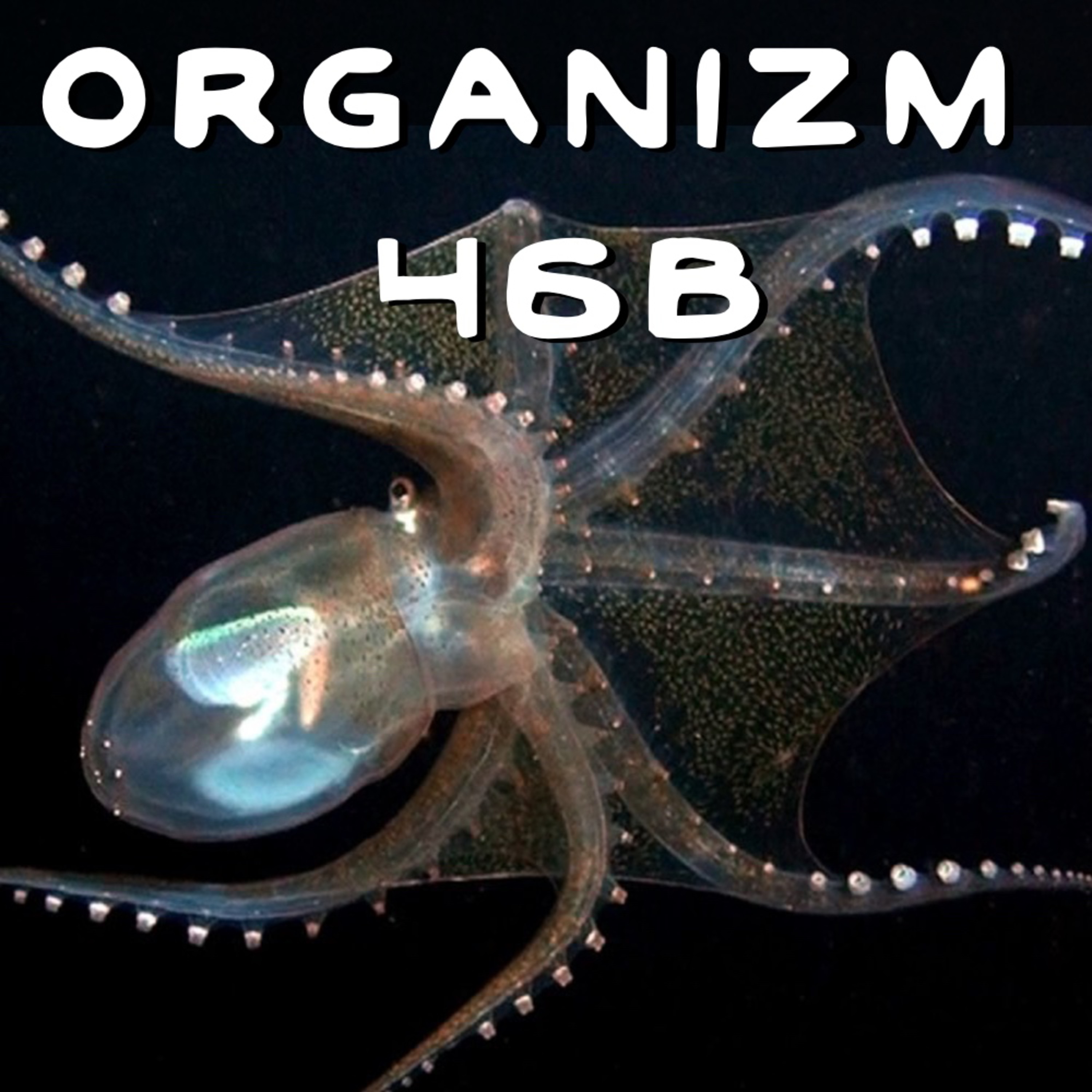 Organism 46b Organism 46b