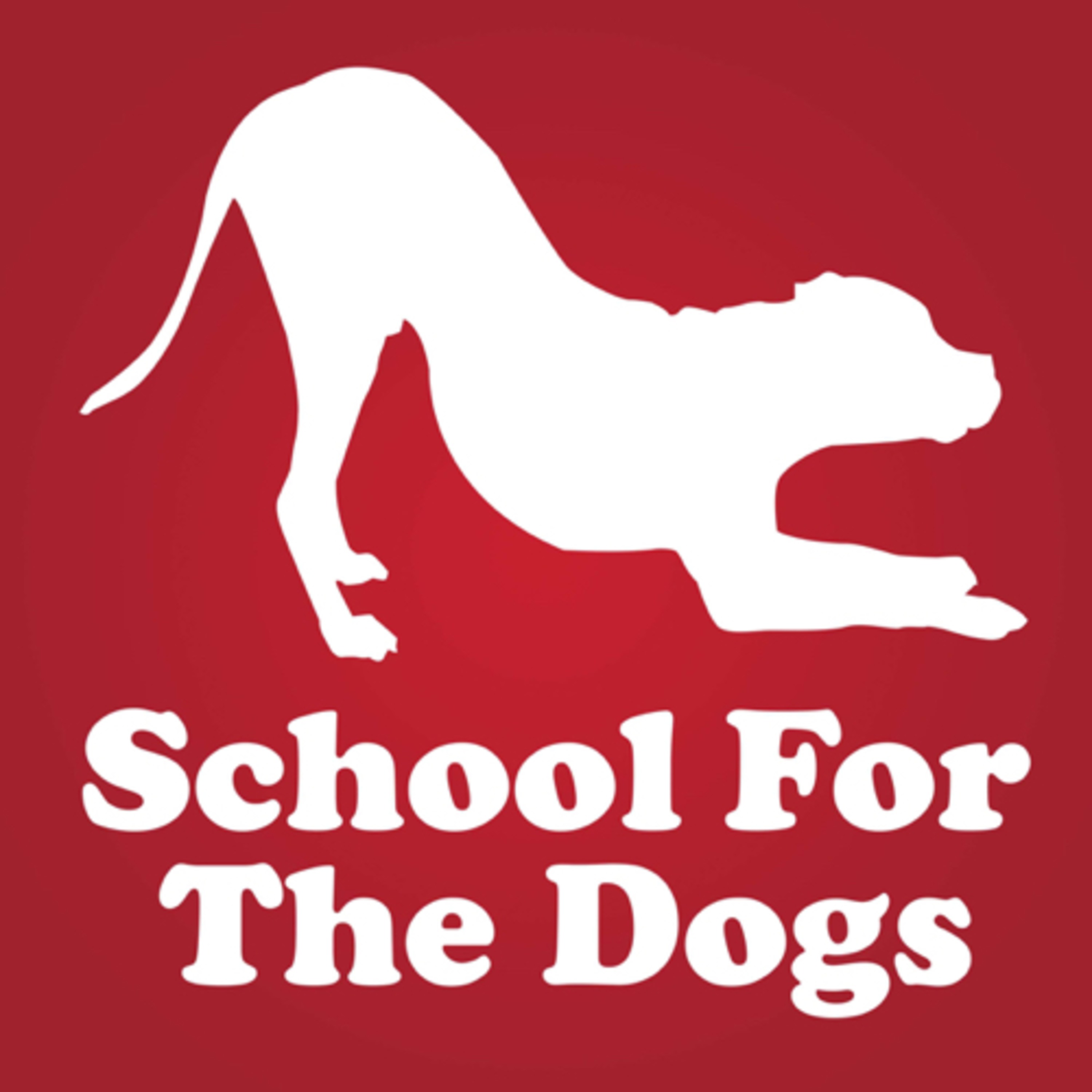 dog training podcast dog training podcast