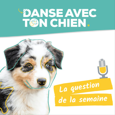 Danse avec ton chien : éducation canine bienveillante - clicker training - dog dancing