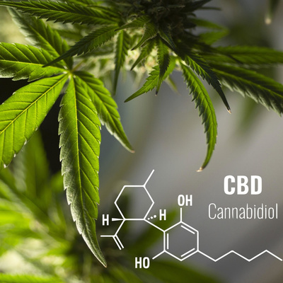 All About CBD