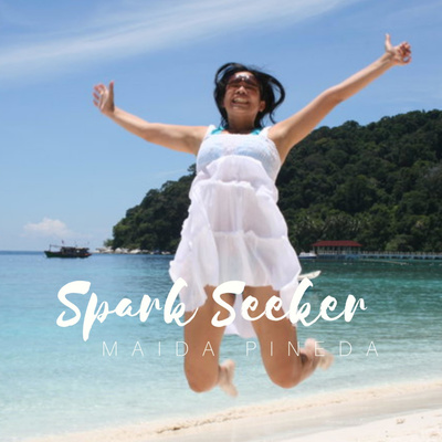 Spark Seeker