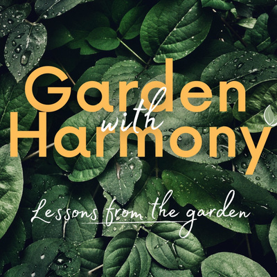 Garden With Harmony: Lessons From The Garden