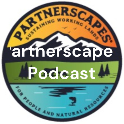 Partnerscapes Podcast