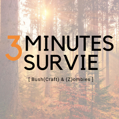 3 minutes survie