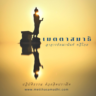 วิปัสสนาญาณ - เมตตาสมาธิ (Metthasamadhi)