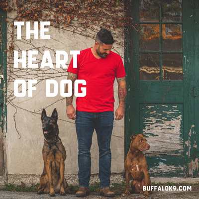 The Heart of Dog