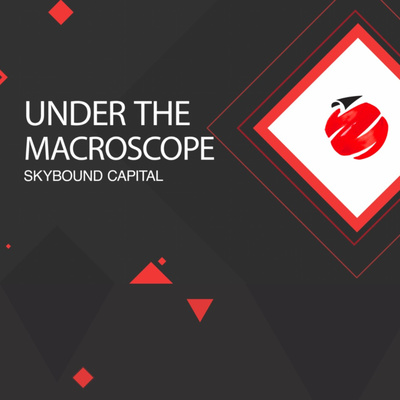 Under The Macroscope
