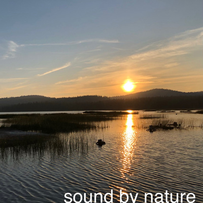 Sound By Nature