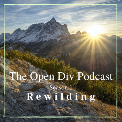 Open Div Podcast