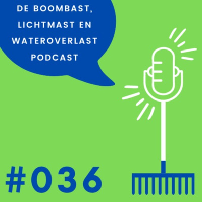 Boombast, lichtmast en wateroverlast Podcast