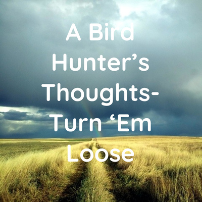 A Bird Hunter’s Thoughts- Turn ‘Em Loose