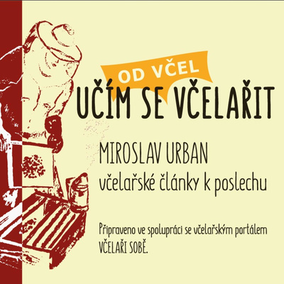 Učím se včelařit od včel