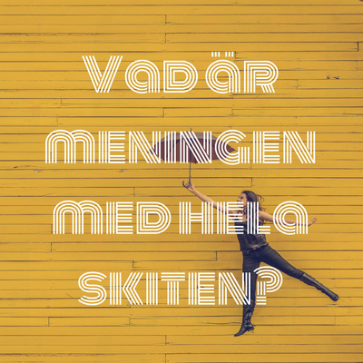 Vad är meningen med hela skiten?