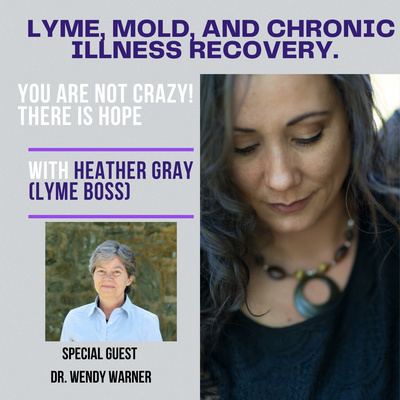 Lyme, Mold, and Chronic Illness Recovery: You are not crazy. There is hope!