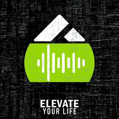 Elevation Indy