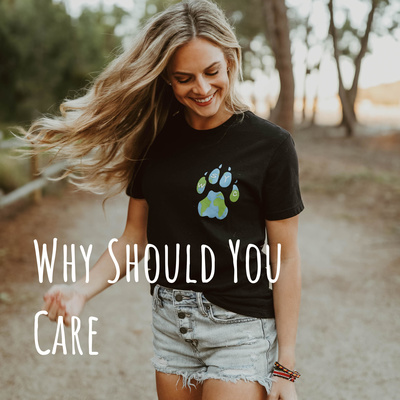 Why Should You Care