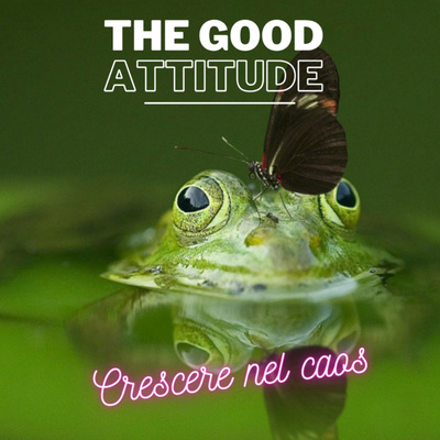 The Good Attitude