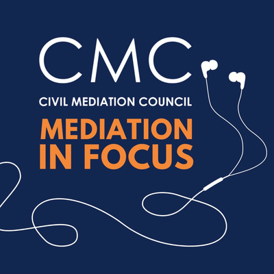 Mediation in Focus