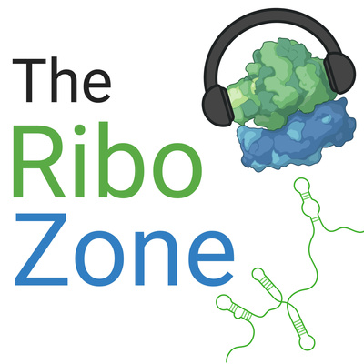 The Ribozone