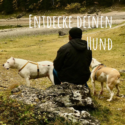 Entdecke deinen Hund