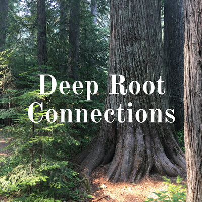 Deep Root Connections