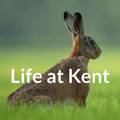 Life at Kent